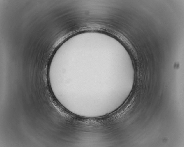 X0000096450842200802211232