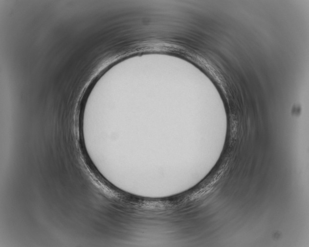 X0000096450843200802211232