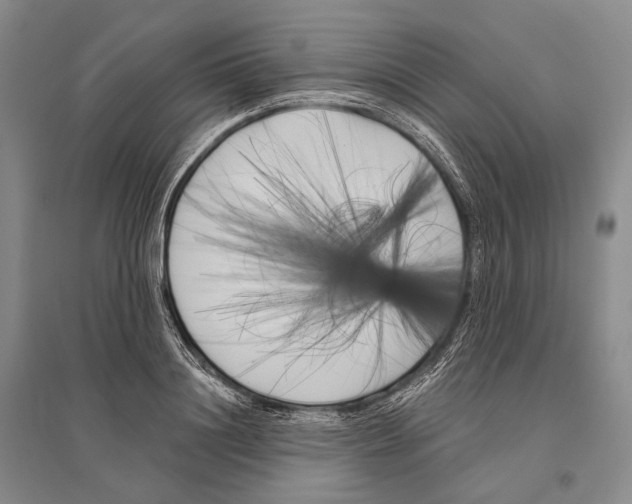 X0000096450844200802211232