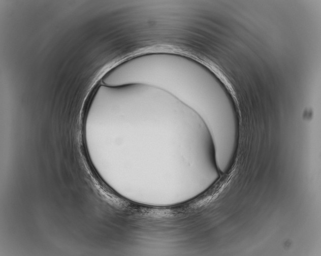 X0000096450845200802211232