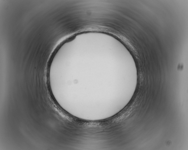 X0000096450846200802211232