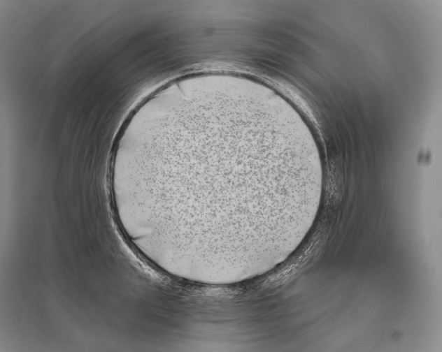 X0000096450847200802211232