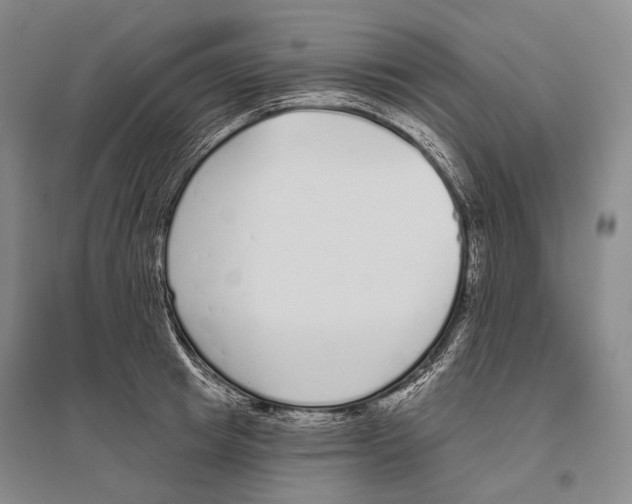 X0000096450849200802211232