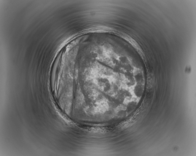 X0000096450850200802211232