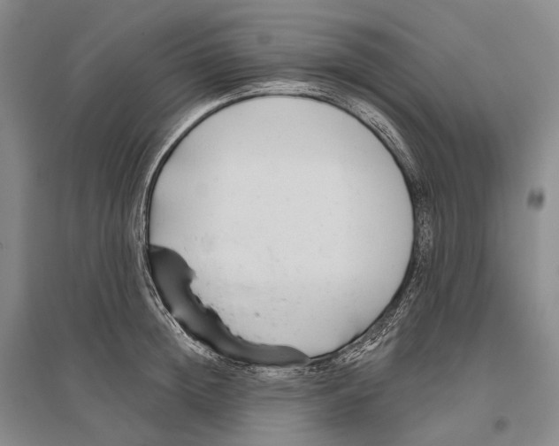 X0000096450852200802211232