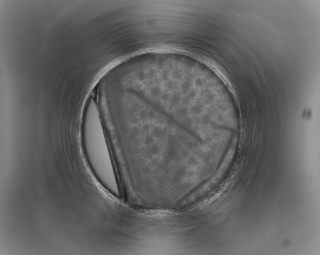 X0000096450853200802211232