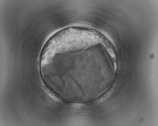 X0000096450854200802211232