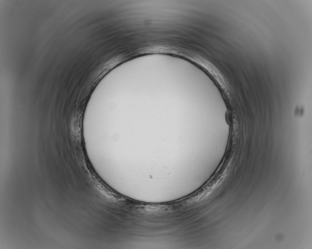 X0000096450857200802211232