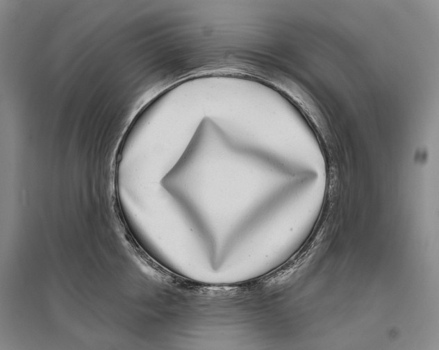 X0000096450858200802211232