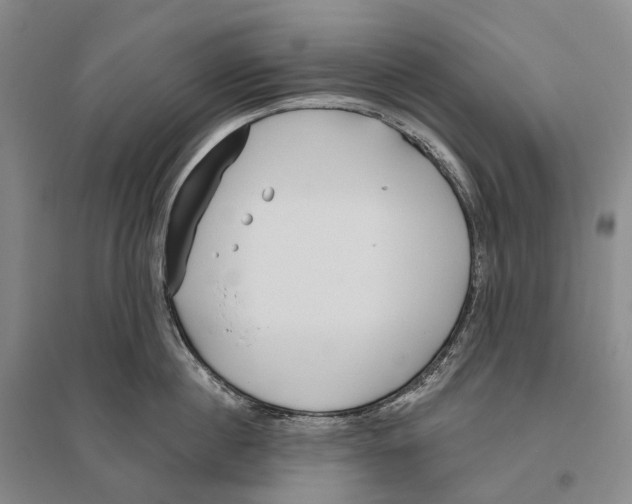 X0000096450860200802211232