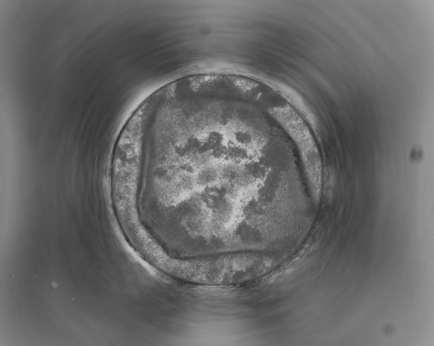 X0000096450863200802211232