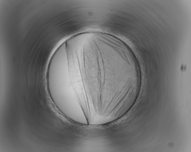 X0000096450864200802211232