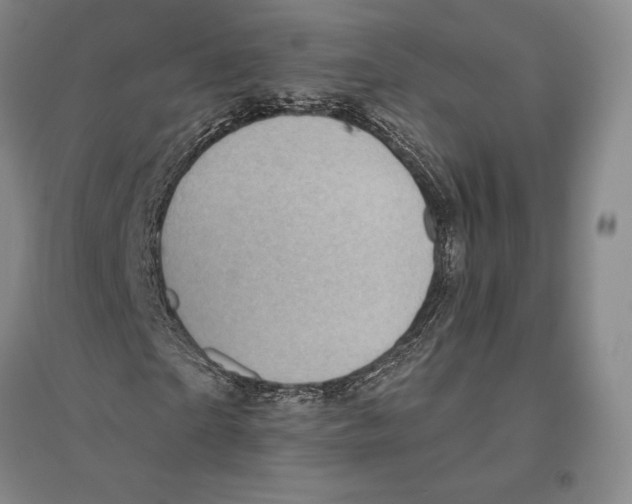 X0000096450865200802211232