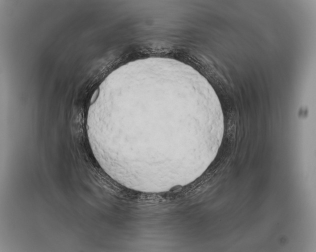 X0000096450866200802211232