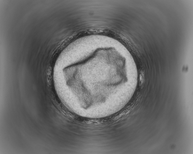 X0000096450867200802211232