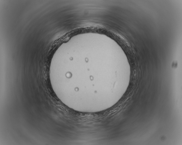 X0000096450869200802211232