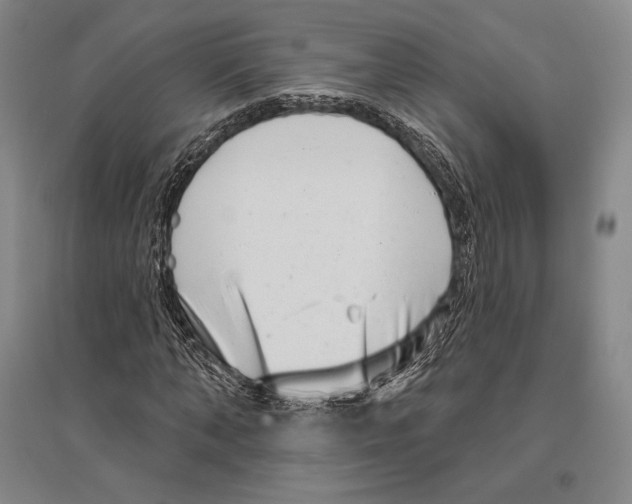 X0000096450870200802211232