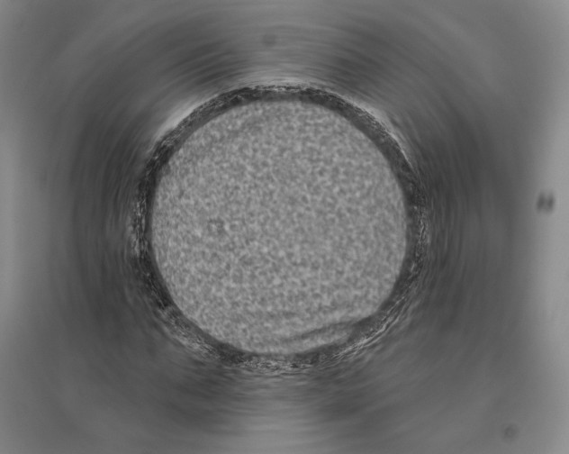 X0000096450871200802211232