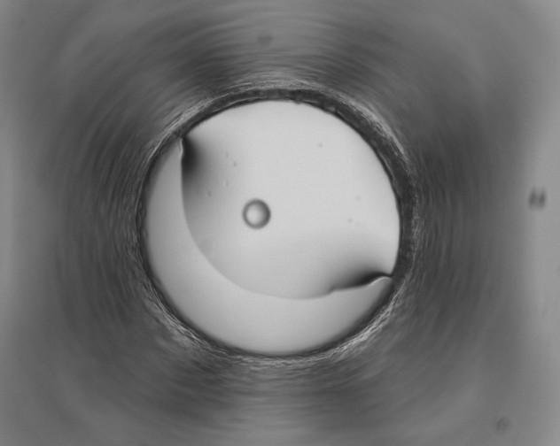 X0000096450873200802211232