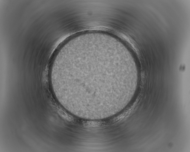 X0000096450875200802211231