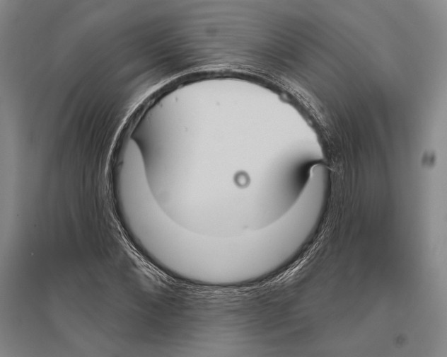 X0000096450876200802211231