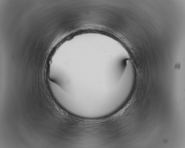 X0000096450877200802211231