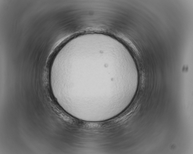 X0000096450878200802211231