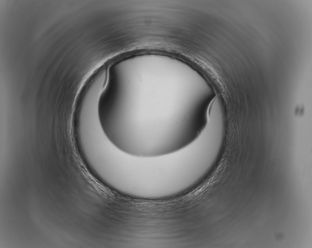 X0000096450880200802211231