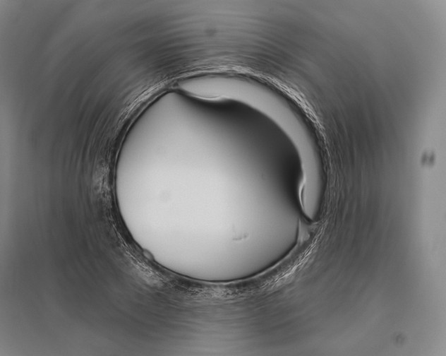 X0000096450881200802211231