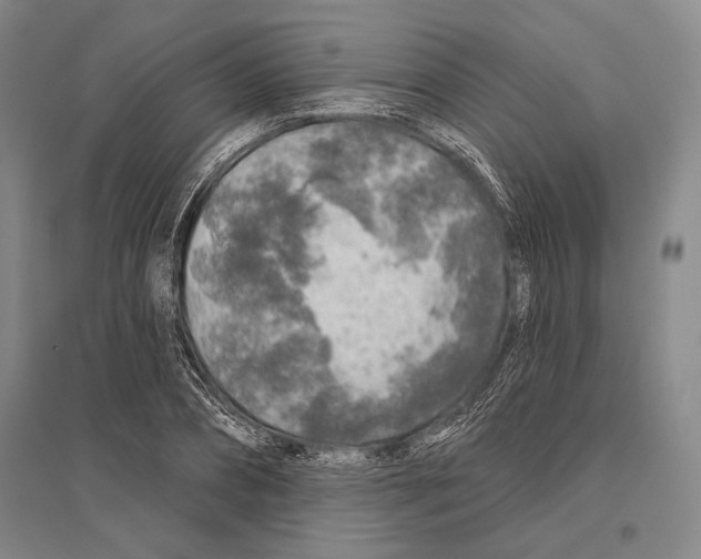 X0000096450882200802211231