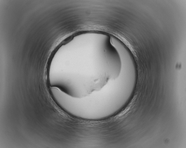 X0000096450885200802211231