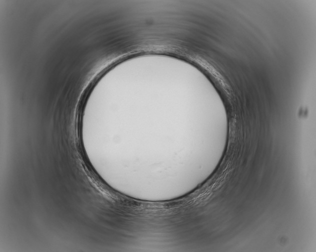 X0000096450886200802211231