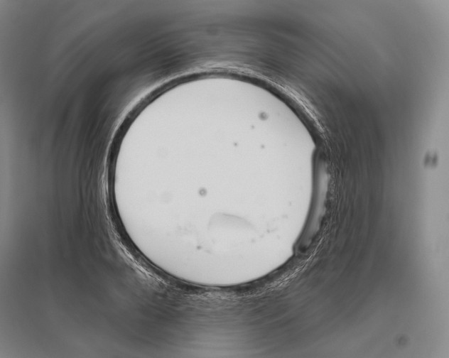 X0000096450888200802211231