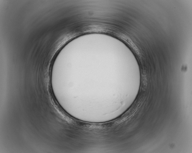 X0000096450890200802211231