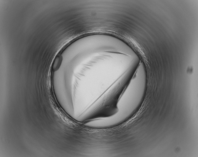 X0000096450892200802211231