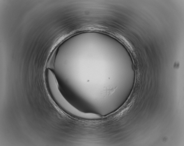 X0000096450893200802211231