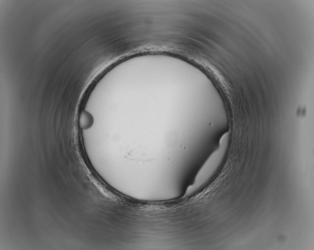 X0000096450894200802211231