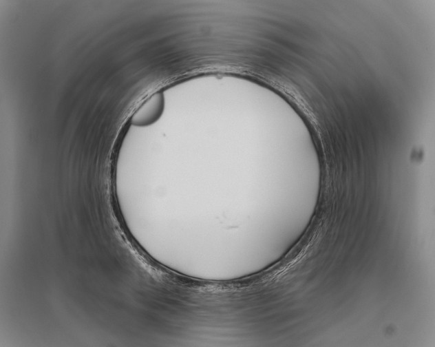 X0000096450898200802211231