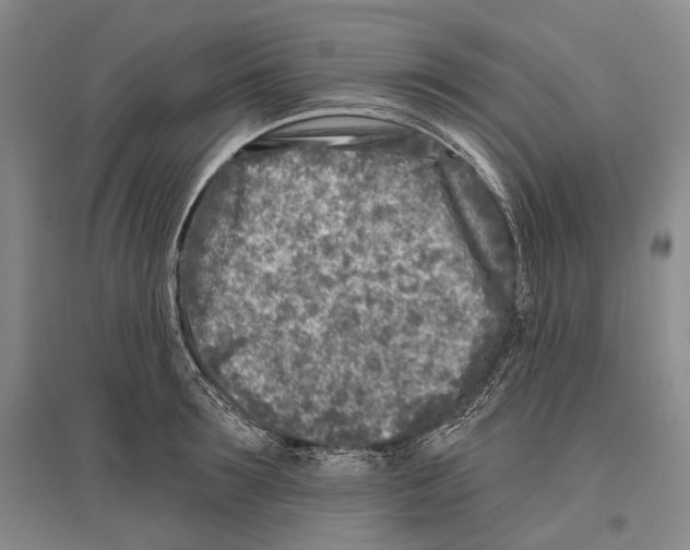 X0000096450899200802211231