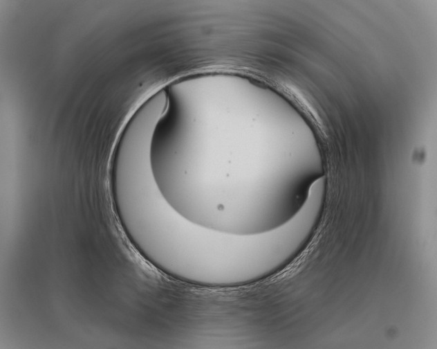 X0000096450900200802211231