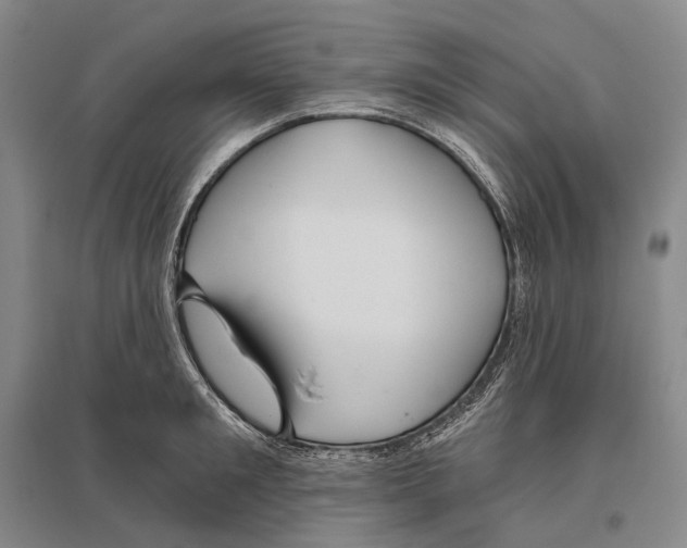 X0000096450901200802211231