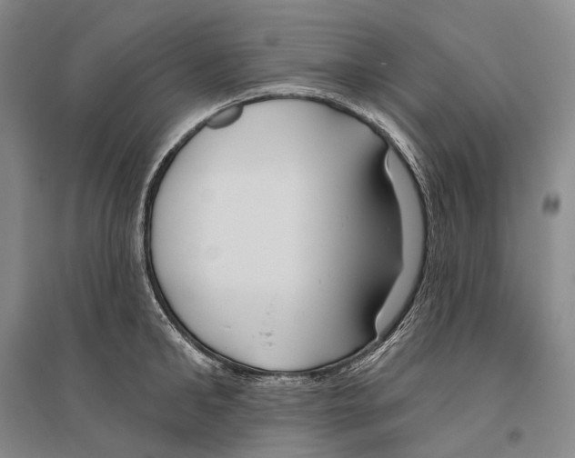 X0000096450902200802211231