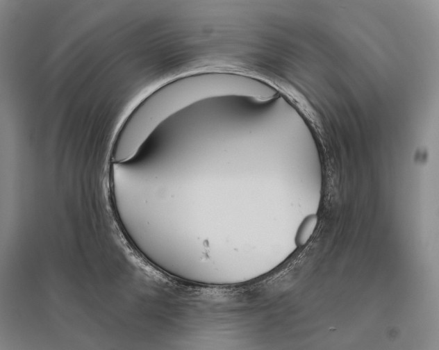 X0000096450904200802211231