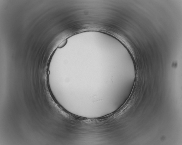 X0000096450906200802211231