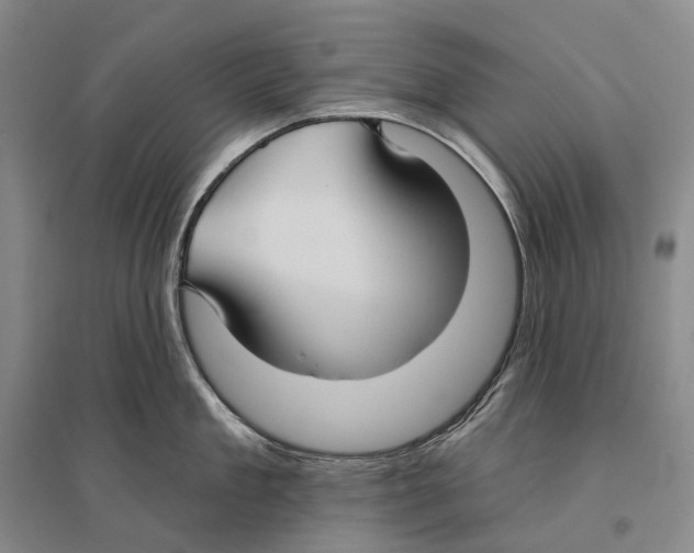 X0000096450909200802211231