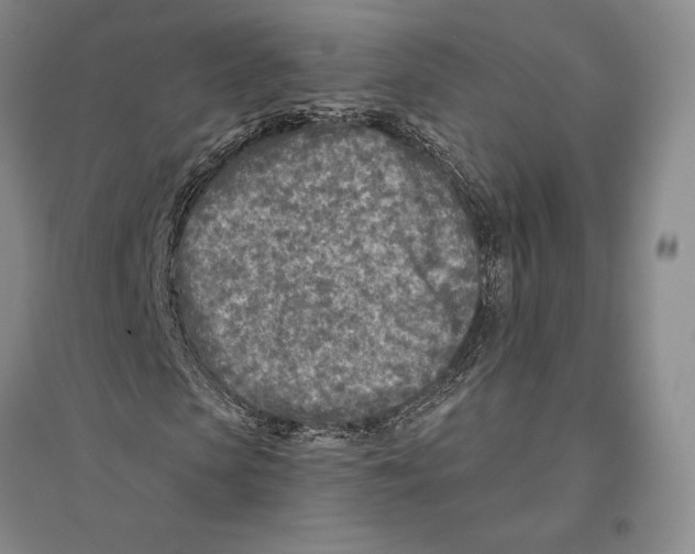 X0000096450913200802211230