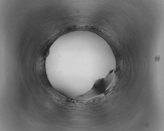 X0000096450914200802211230