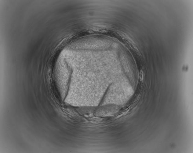 X0000096450915200802211230