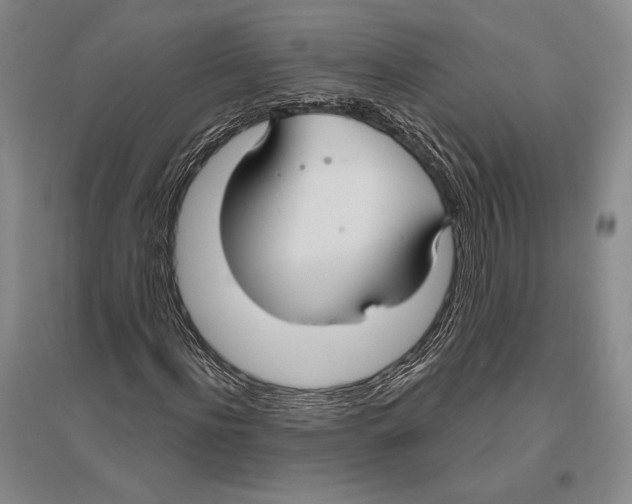 X0000096450916200802211230