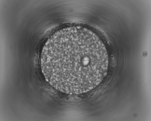 X0000096450918200802211230